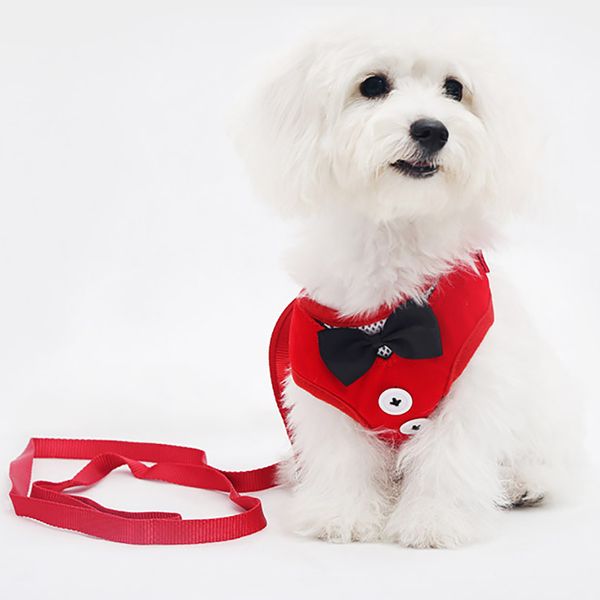 3 в 1 маленькой собаки жгутов и поводок набор bowknot кнопки vest нет прицепные pet harness с мягкой сетки нейлон жилет для маленьких собак
3 в 1 маленькой собаки жгутов и поводок набор bowknot кнопки vest нет прицепные pet harness с мягкой сетки нейлон жилет для маленьких собак
