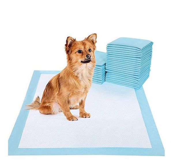 dhl 20pcs pet dog cat diaper super absorbent house training pads for puppies polymer quicker dry pet pads healthy clean wet mat ymuvf
dhl 20pcs pet dog cat diaper super absorbent house training pads for puppies polymer quicker dry pet pads healthy clean wet mat ymuvf