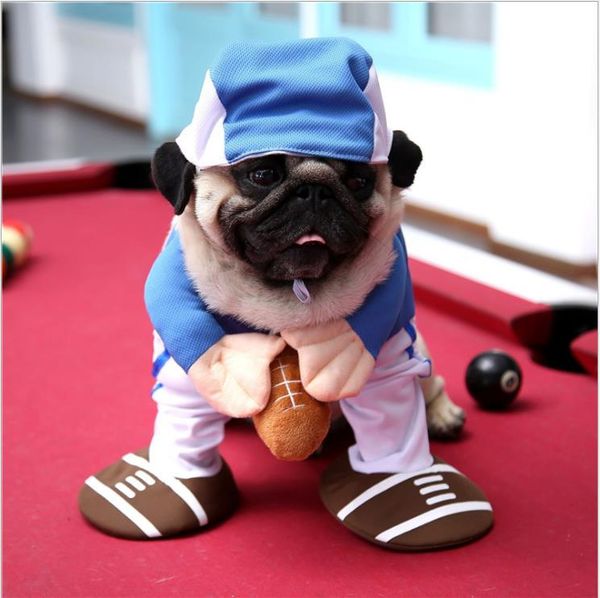 2020 st pet supplies riding costume wealth funny standing costume christmas halloween cat upright morphing costume
2020 st pet supplies riding costume wealth funny standing costume christmas halloween cat upright morphing costume