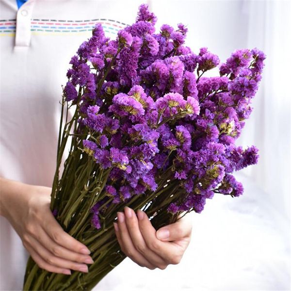 1 bundle 45-50cm diy свадьба фото реквизит чистый натуральный завод сухих цветов кафе библиотека украшений 100 ~ 150г
1 bundle 45-50cm diy свадьба фото реквизит чистый натуральный завод сухих цветов кафе библиотека украшений 100 ~ 150г