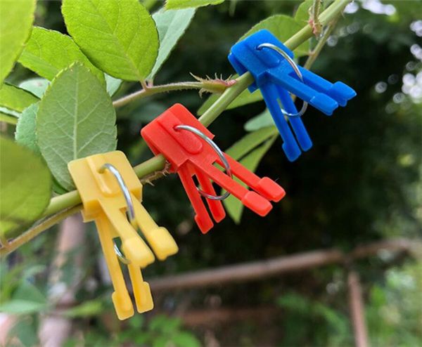 new garden plastic grafting graft clip garden plant support for vegetable flower tomato stalks fix grow upright grafting garden tool
new garden plastic grafting graft clip garden plant support for vegetable flower tomato stalks fix grow upright grafting garden tool