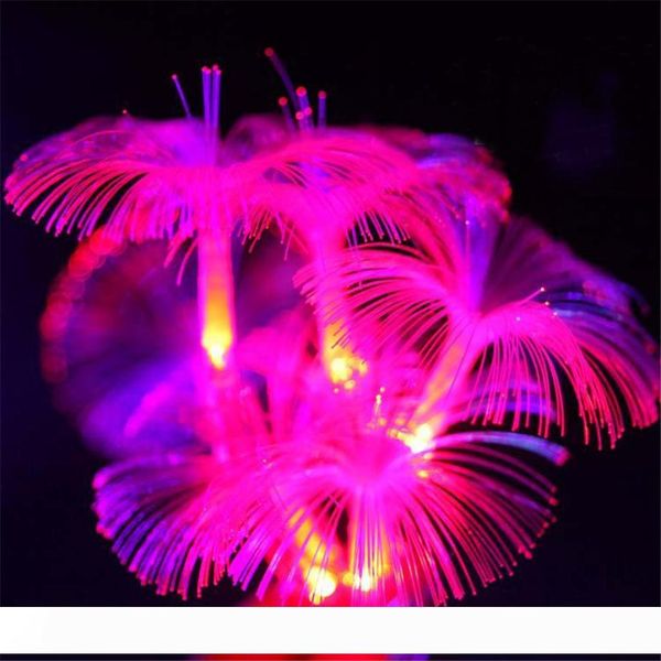 Hot 10LED Morning Glory Fiber Optic Battery String Night Light Lamp Mni Fairy Lights Christmas Xmas Decor strings
Hot 10LED Morning Glory Fiber Optic Battery String Night Light Lamp Mni Fairy Lights Christmas Xmas Decor strings