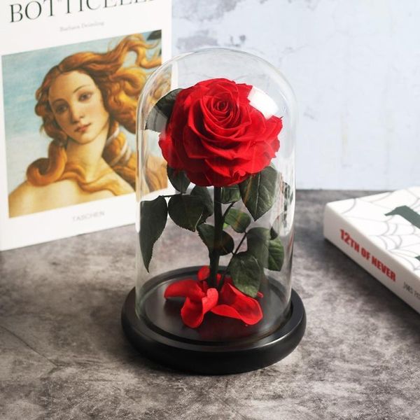 decorative flowers & wreaths red rose in a glass dome on living room bedroom table decorations valentines day gifts birthday
decorative flowers & wreaths red rose in a glass dome on living room bedroom table decorations valentines day gifts birthday