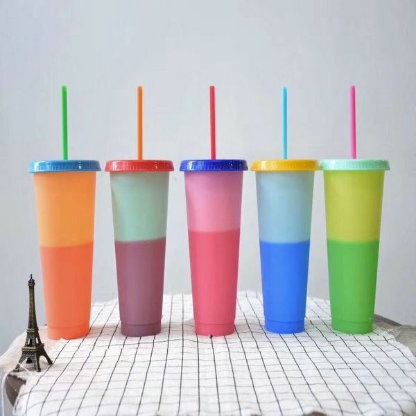 colorful 700ml temperature changing cup plastic insulated drinking tumbler with lids and straws magic coffee mug water bottle dhl
colorful 700ml temperature changing cup plastic insulated drinking tumbler with lids and straws magic coffee mug water bottle dhl