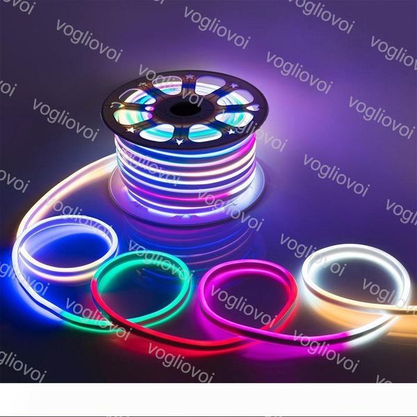 led strip soft led neon lights strips smd2835 220v 12v 120led m waterproof indoor outdoor decoration lighting dhl
led strip soft led neon lights strips smd2835 220v 12v 120led m waterproof indoor outdoor decoration lighting dhl