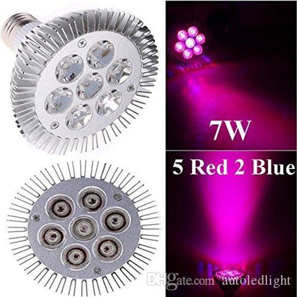 indoor led grow lights 7w 12w 24w 36w 54w e27 led grow lamp par 38 30 bulb for flower plant hydroponics
indoor led grow lights 7w 12w 24w 36w 54w e27 led grow lamp par 38 30 bulb for flower plant hydroponics