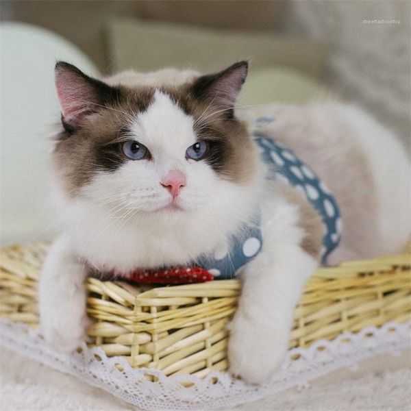 clothing cute print fashion cats supplies posrative clothing anti-licking pet cat sterilization clothes summer breathable physiological
clothing cute print fashion cats supplies posrative clothing anti-licking pet cat sterilization clothes summer breathable physiological