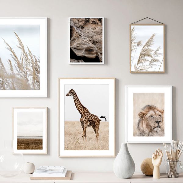lion giraffe reed wild landscape wall art canvas painting nordic posters and prints wall pictures for living room home decor
lion giraffe reed wild landscape wall art canvas painting nordic posters and prints wall pictures for living room home decor