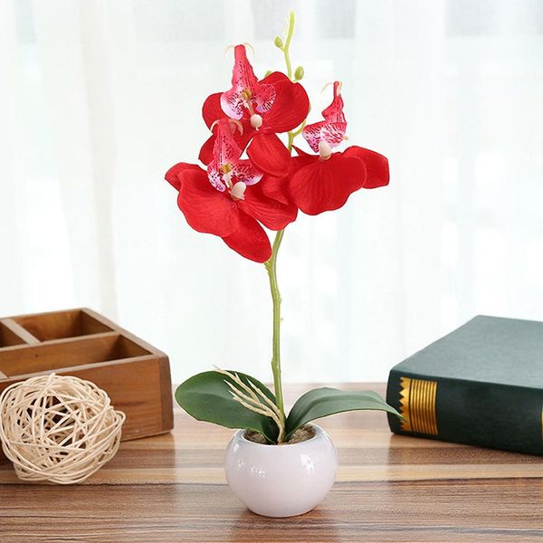 new artificial plants bridal floral home decoration ornamental flores butterfly orchid silk flower gift box c18112601
new artificial plants bridal floral home decoration ornamental flores butterfly orchid silk flower gift box c18112601