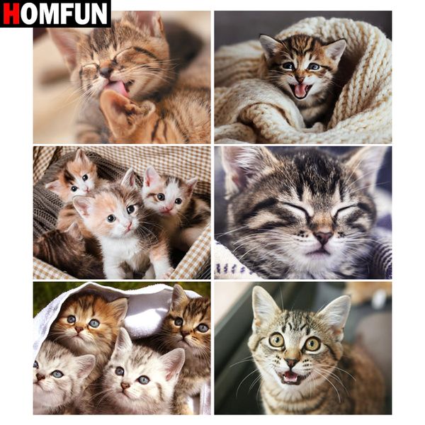 homfun 5d алмазные картина полный квадрат / round «котик мило» картина rhinestone diy алмазной вышивки home decor
homfun 5d алмазные картина полный квадрат / round «котик мило» картина rhinestone diy алмазной вышивки home decor