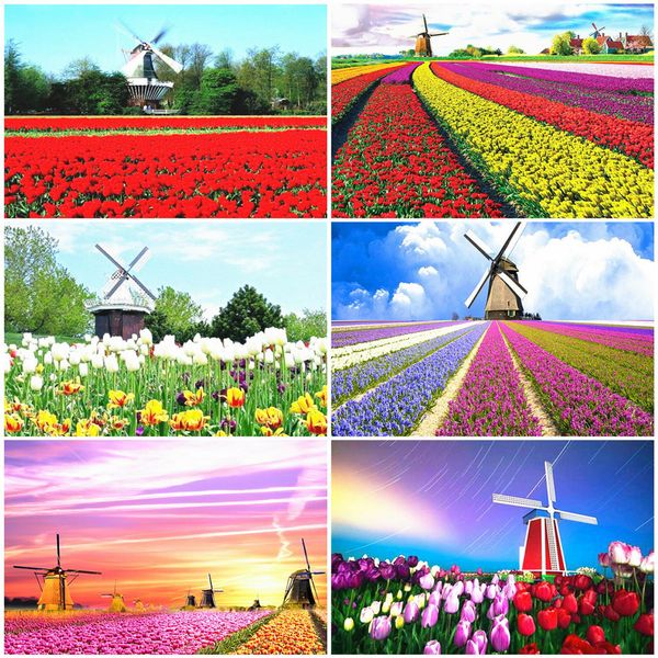 wall art diy oil painting by numbers landscape acrylic paint handpainted gift unframe coloring by numbers windmill decor for home
wall art diy oil painting by numbers landscape acrylic paint handpainted gift unframe coloring by numbers windmill decor for home