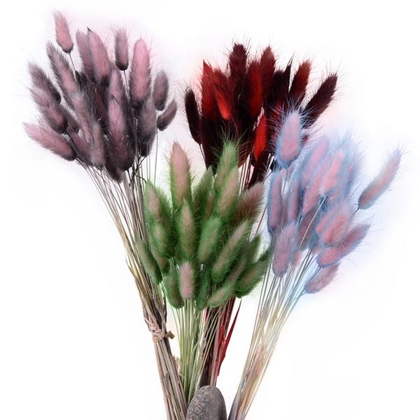 30pcs gradient lagurus ovatus natural dried bouquet diy wedding home christmas decoration rabbit tail grass real flowers
30pcs gradient lagurus ovatus natural dried bouquet diy wedding home christmas decoration rabbit tail grass real flowers