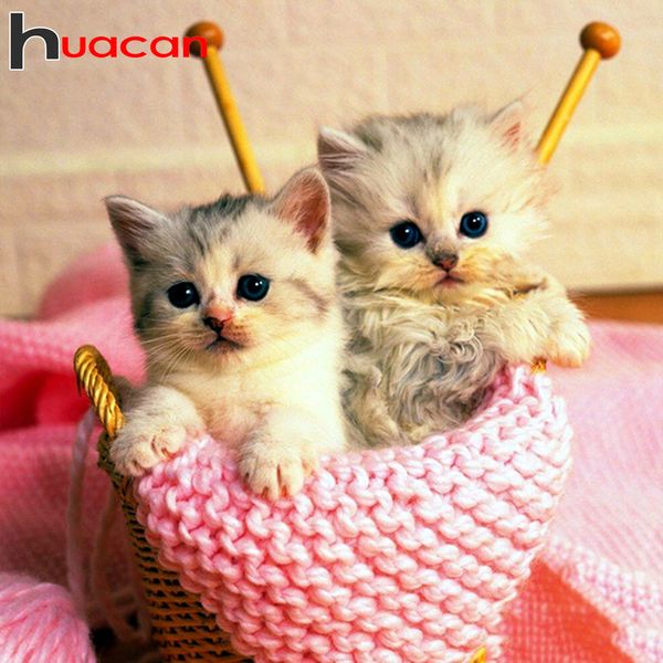 huacan cat diamond painting kit mosaic cross stitch animal decorations for home embroidery woollen diamond art handmade gift
huacan cat diamond painting kit mosaic cross stitch animal decorations for home embroidery woollen diamond art handmade gift
