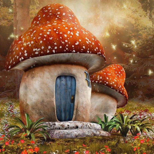 full square/round diamond 5d diy diamond painting mushroom house embroidery cross stitch rhinestone mosaic home decor
full square/round diamond 5d diy diamond painting mushroom house embroidery cross stitch rhinestone mosaic home decor