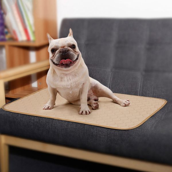 kennels & pens papicat pet reusable diapers urine absorbent mat water absorbency diaper sleeping for dog and cat puppy training pad
kennels & pens papicat pet reusable diapers urine absorbent mat water absorbency diaper sleeping for dog and cat puppy training pad