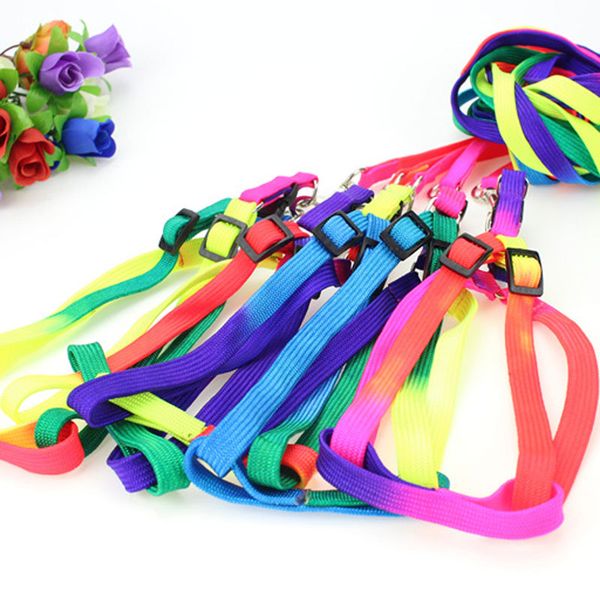 pet puppy leash multiple walking dog pet leash training lead collar dacron harness rainbow rope 1.0*120cm pet supplies
pet puppy leash multiple walking dog pet leash training lead collar dacron harness rainbow rope 1.0*120cm pet supplies