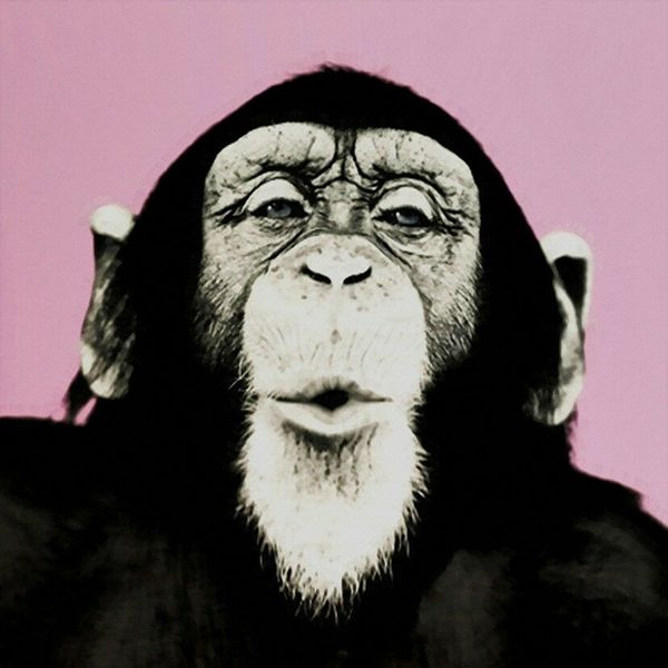 andy warhol pop art wall decor laughing monkey home decor handcrafts /hd print oil painting on canvas wall art canvas pictures 200822
andy warhol pop art wall decor laughing monkey home decor handcrafts /hd print oil painting on canvas wall art canvas pictures 200822