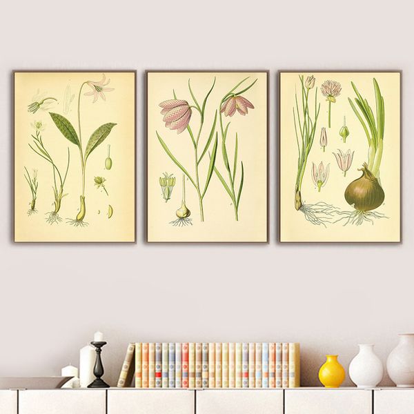 modern canvas painting vintage botanical illustrations floral retro poster and print daffodil wall art murals chart pictures
modern canvas painting vintage botanical illustrations floral retro poster and print daffodil wall art murals chart pictures
