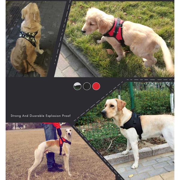 fashion pet supplies dog harness leash golden samoyed dog leash chain medium and large dogs harnesses accessories
fashion pet supplies dog harness leash golden samoyed dog leash chain medium and large dogs harnesses accessories