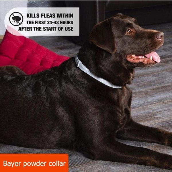 dog collars & leashes insect repellent collar grey cat parasite teddy 39/63cm rubber durable medium and large dogs pet supplies preventing f
dog collars & leashes insect repellent collar grey cat parasite teddy 39/63cm rubber durable medium and large dogs pet supplies preventing f