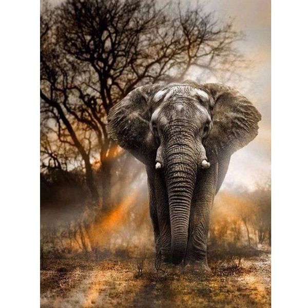 full square drill 5d diy diamond painting elephant cross stitch diamond embroidery animal arts mosaic rhinestone decor gift
full square drill 5d diy diamond painting elephant cross stitch diamond embroidery animal arts mosaic rhinestone decor gift