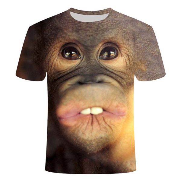 classic vintage distressed sea turtle t shirts men perfect gift tee for birthday christmas shirt ocean life turtle lover t-shirt
classic vintage distressed sea turtle t shirts men perfect gift tee for birthday christmas shirt ocean life turtle lover t-shirt