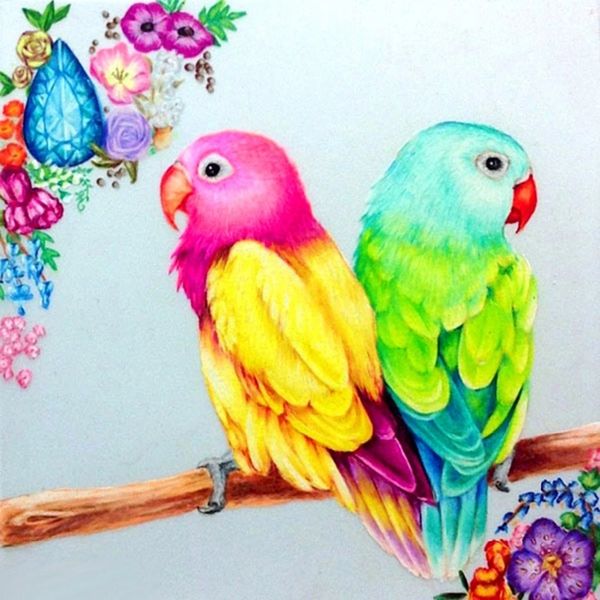 full square/round diamond 5d diy diamond painting coloured parrot embroidery cross stitch rhinestone mosaic home decor
full square/round diamond 5d diy diamond painting coloured parrot embroidery cross stitch rhinestone mosaic home decor