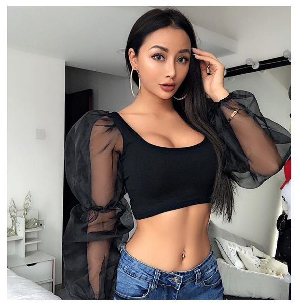scoop neck hollow out sheer crop casual panelled women clothing women designer slash, White
scoop neck hollow out sheer crop casual panelled women clothing women designer slash, White