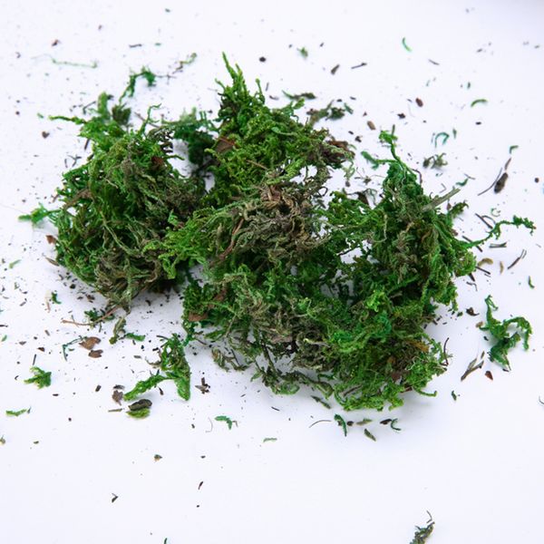 40g/lot artificial flower green moss simulation plant turf decoration flower arrangement decoration material diy potted moss
40g/lot artificial flower green moss simulation plant turf decoration flower arrangement decoration material diy potted moss