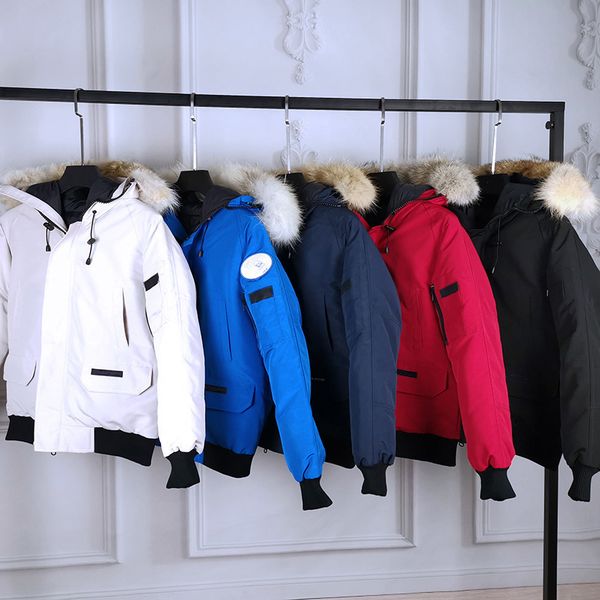 r mens womens down parkas clothing yellow red blue black pink sports wholesale athletic coats size xs-xxl
r mens womens down parkas clothing yellow red blue black pink sports wholesale athletic coats size xs-xxl