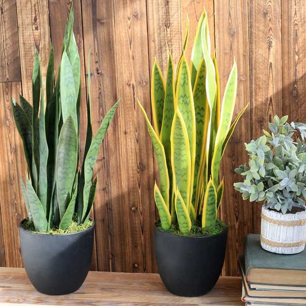 artificial agave yellow green agave artificial potted simulation green small potted plant fake flowers dried flowers
artificial agave yellow green agave artificial potted simulation green small potted plant fake flowers dried flowers