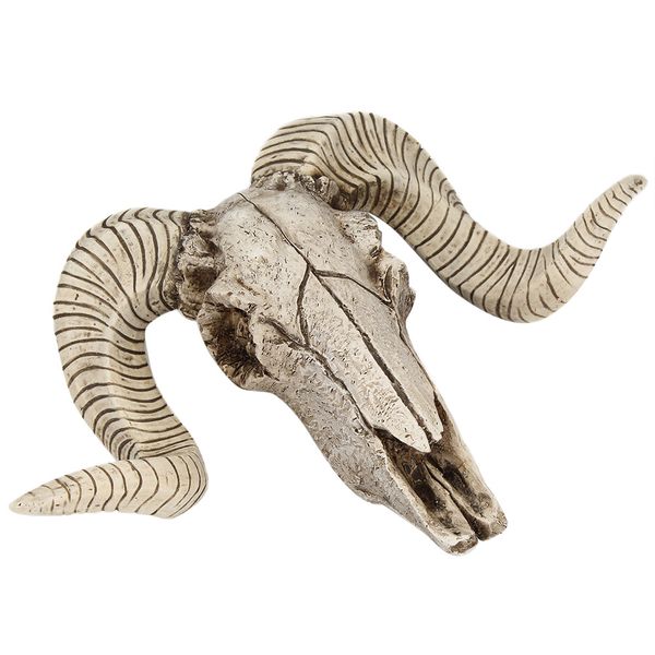 3d wall decor longhorn resin skeleton sheep head animal skull hanging pendant
3d wall decor longhorn resin skeleton sheep head animal skull hanging pendant