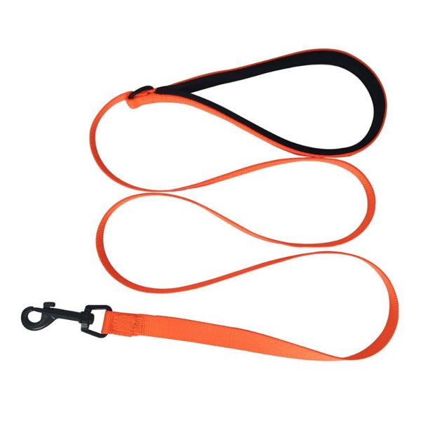 dog leash with padded handle heavy duty nylon training pet leash walking lead for small medium large dogs
dog leash with padded handle heavy duty nylon training pet leash walking lead for small medium large dogs