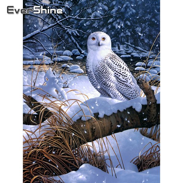wall art diamond painting animals owl cross stitch diamond embroidery sale full drill square painting rhinestones mosaic kit
wall art diamond painting animals owl cross stitch diamond embroidery sale full drill square painting rhinestones mosaic kit