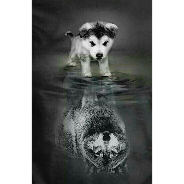 wall decorations creative little dog inverted image paint by numbers oil canvas painting for kids
wall decorations creative little dog inverted image paint by numbers oil canvas painting for kids