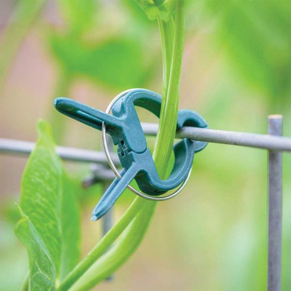 20pcs reusable durable pp gardening spring clip tree plants flower seedling stem vine support clips garden tool
20pcs reusable durable pp gardening spring clip tree plants flower seedling stem vine support clips garden tool