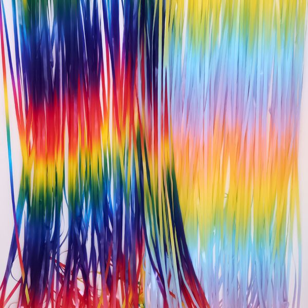 2*1m birthday party wedding decoration rain silk curtain colorful tassel rain silk stage background wall decoration rain silk curtain
2*1m birthday party wedding decoration rain silk curtain colorful tassel rain silk stage background wall decoration rain silk curtain