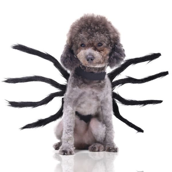 dog costume halloween black spider funny funny wire feet small medium-sized dog cat pet supplies halloween
dog costume halloween black spider funny funny wire feet small medium-sized dog cat pet supplies halloween
