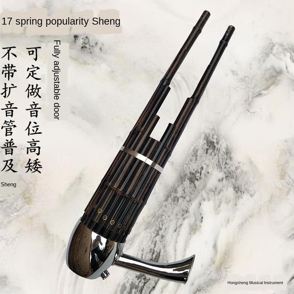 17 spring cegd tune национальный музыкальный инструмент sheng профессиональный взрослых детей для начинающих
17 spring cegd tune национальный музыкальный инструмент sheng профессиональный взрослых детей для начинающих