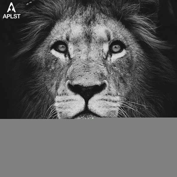 animal giraffe zebra lion elephant horse prints & poster black and white canvas art wall decorative picture for living room
animal giraffe zebra lion elephant horse prints & poster black and white canvas art wall decorative picture for living room