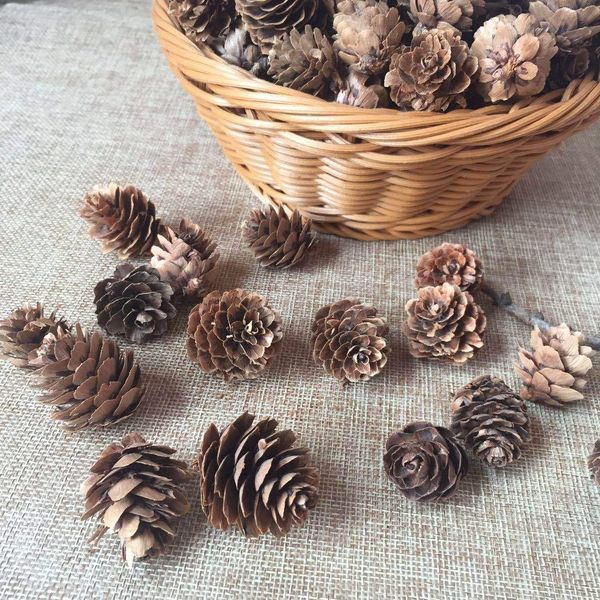 christmas and props cones larch tower pine retail theory kg selling pine cones decorative dried flowers shooting props ymlqx
christmas and props cones larch tower pine retail theory kg selling pine cones decorative dried flowers shooting props ymlqx