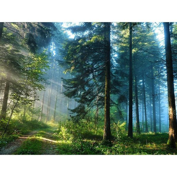 diy diamond painting landscape full drill square diamond embroidery forest cross stitch decor home picture of rhinestones
diy diamond painting landscape full drill square diamond embroidery forest cross stitch decor home picture of rhinestones