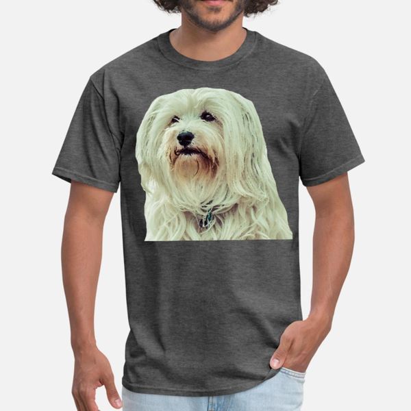 havanese t shirt men print cotton round neck leisure anti-wrinkle breathable summer original shirt
havanese t shirt men print cotton round neck leisure anti-wrinkle breathable summer original shirt