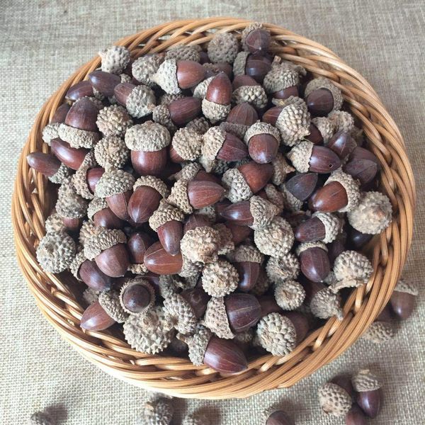 christmas acorn forest diy small ornaments material shooting props scene layout materials christmas acorn forest handmade handmadediy handma
christmas acorn forest diy small ornaments material shooting props scene layout materials christmas acorn forest handmade handmadediy handma