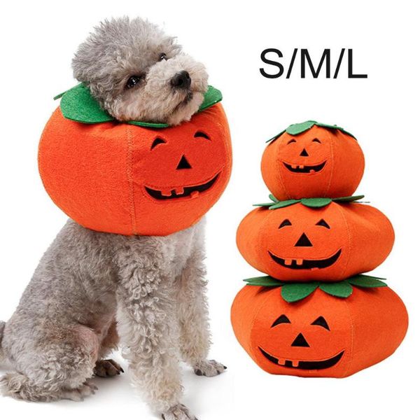 halloween dog pumpkin collar anti licking biting party pet fancy dress costume
halloween dog pumpkin collar anti licking biting party pet fancy dress costume