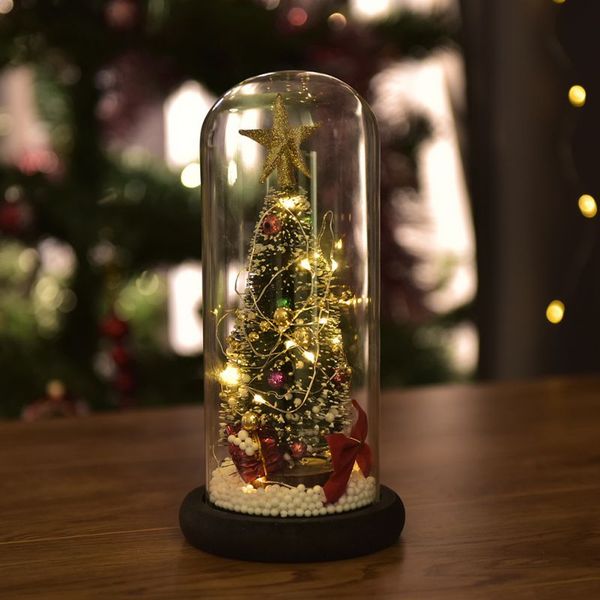 christmas tree in glass dome with led string light battery operated xmas festive indoor room ornaments christmas
christmas tree in glass dome with led string light battery operated xmas festive indoor room ornaments christmas