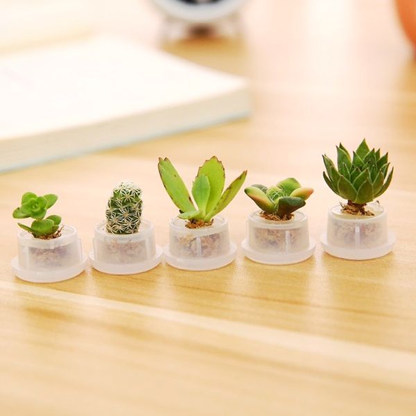 creative succulent cacti terrarium plants pandant necklace wearable live plant succulents small glass pendant (random ), Silver
creative succulent cacti terrarium plants pandant necklace wearable live plant succulents small glass pendant (random ), Silver