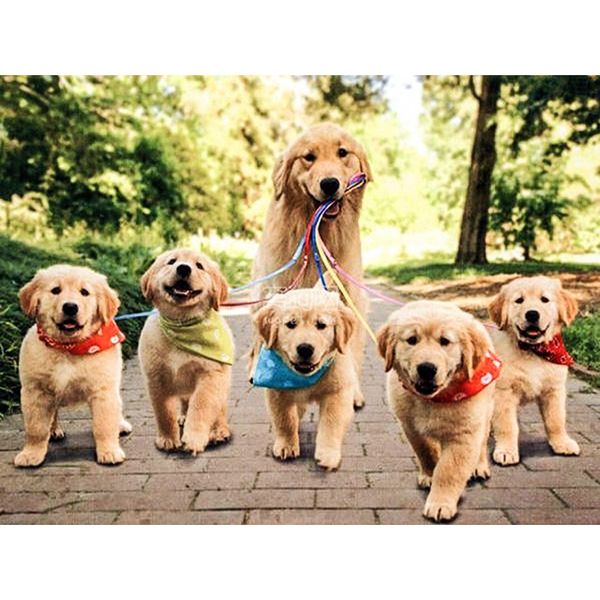 diamond painting cross stitch six lovely dogs full square resin drill diamond mosaic rhinestone needlework craft home decor gift
diamond painting cross stitch six lovely dogs full square resin drill diamond mosaic rhinestone needlework craft home decor gift