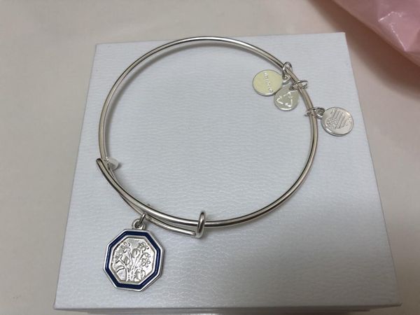 alex and february violet flower charm bangle shiny expandable wire bangle wear for wisdom bracelet female jewelry gift, Black
alex and february violet flower charm bangle shiny expandable wire bangle wear for wisdom bracelet female jewelry gift, Black