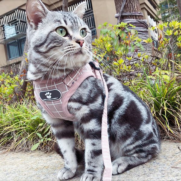 explosion dog leash chest strap walk dog cat rope pet chest strap suit vest type
explosion dog leash chest strap walk dog cat rope pet chest strap suit vest type
